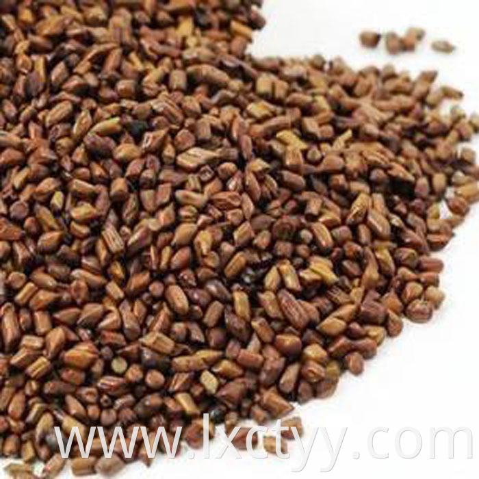 cassia seed chinese herb